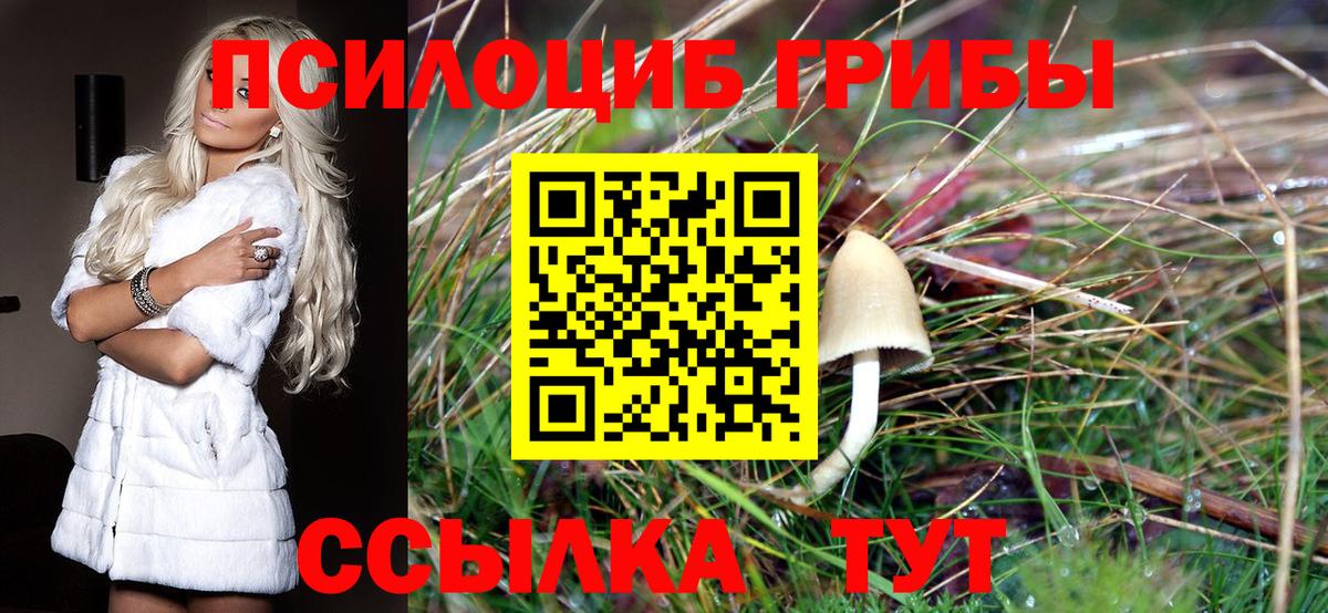Галлюциногенные грибы Psilocybine cubensis Тольятти
